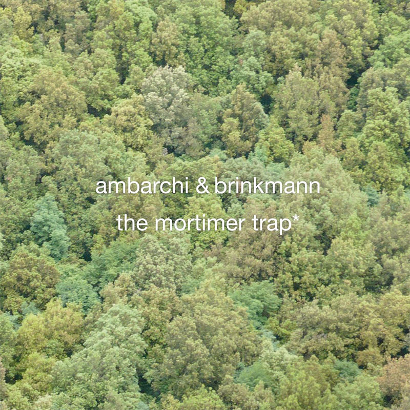 brinkmann ambarchi